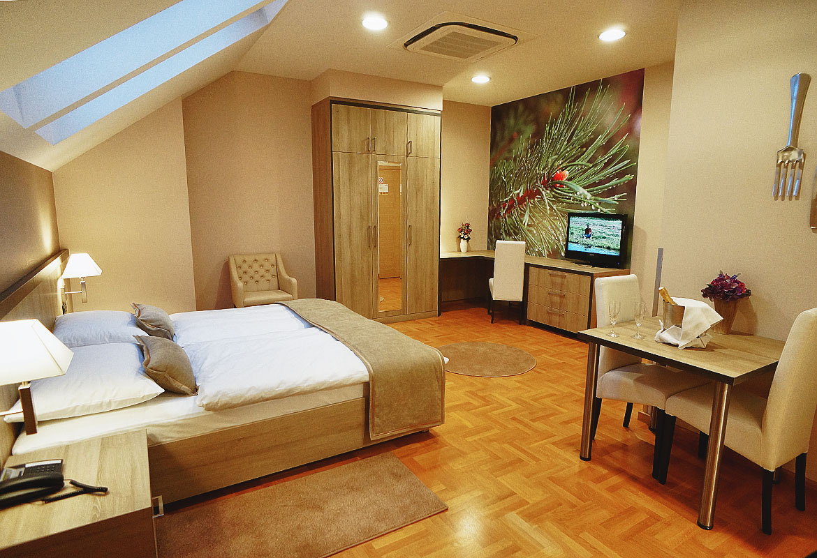 Suite mit 1 Schlafzimmer 